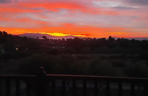 BS Village green - Photo 17