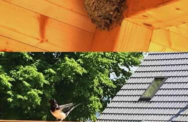 Ferienhaus Woody - Photo 11