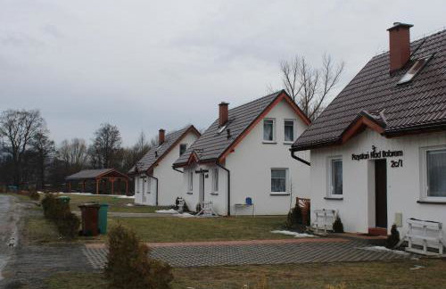 PRZYSTAŃ NAD BOBREM z Balią i Sauną - Foto 13