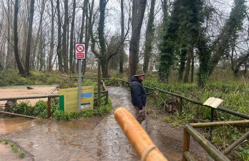 Casa Rural Nacimiento del Hueznar - Tomillo 17 - Foto 39