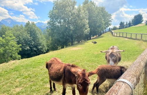 Olimpo Dolomitico - Photo 19