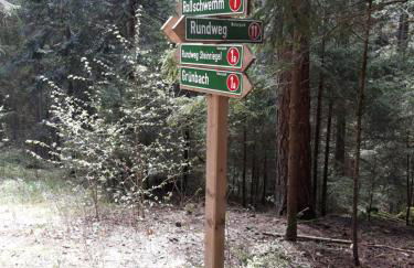 AnNo - Die Wohlfühl - Idylle in Grünbach_Kirchdorf - Foto 34