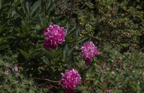 Ferienwohnung Schwalbennest - Foto 66