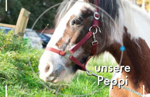 Obst- und Weingut Ingenhof - Foto 32