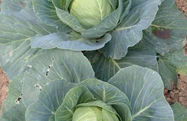 Gites De L'Etang Des Noues - Photo 29