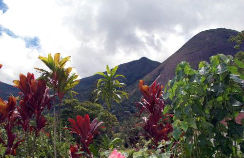 Casa de Araras - Foto 28