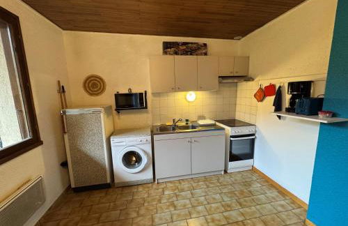 Vénosc-Les 2 Alpes , Rez de jardin - Photo 13