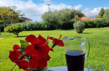 Julietta Suites - Photo 22