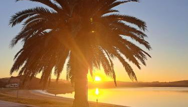 Brisa Marina - Foto 5