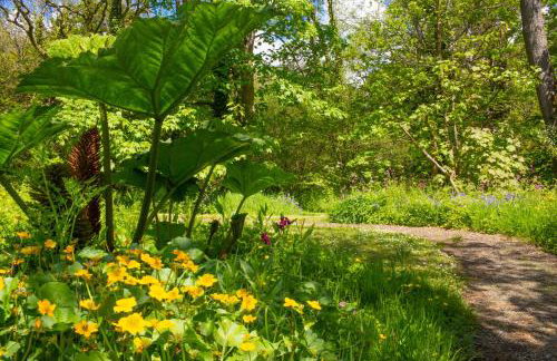 Fiddlers Green Log Cabin Tenby - Foto 18