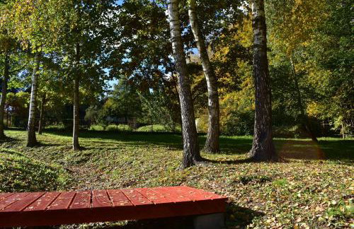 Ogród Shinrin Yoku (Haru) Odpoczynek w Lesie - Foto 8