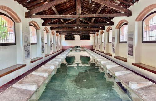 Casa Ariel - Elba Affitti - Foto 25