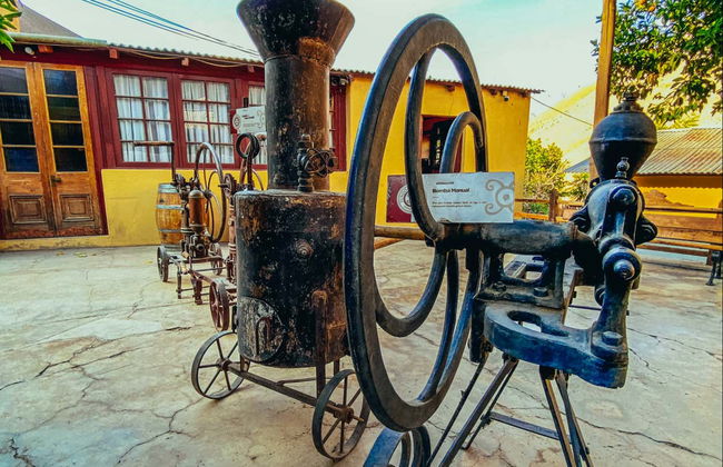 Alto Elqui Pisco Tour - Photo 9