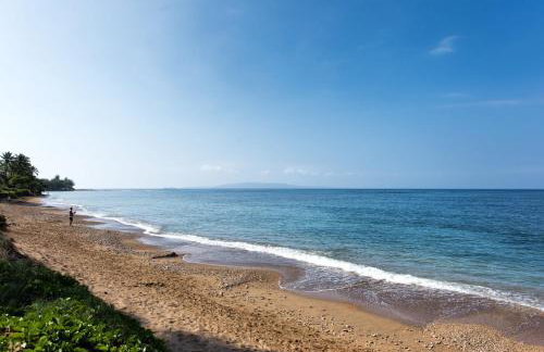 Calming Coastal Vistas - Photo 64