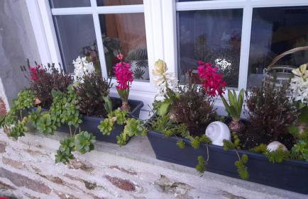 Maison An Ty Göal - Foto 30