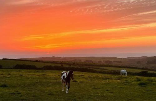 1 Bed in Penzance oc-ducks - Foto 14