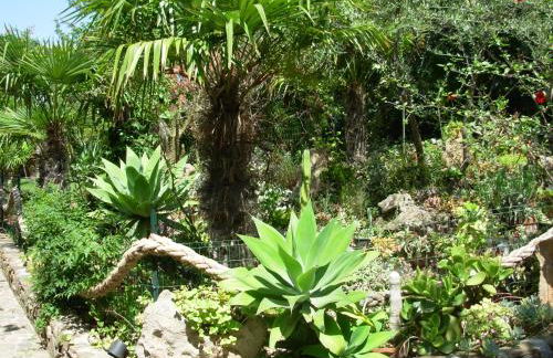 Residence L'Ulivo - Foto 52