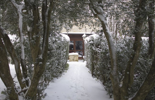 I Templari - Photo 46