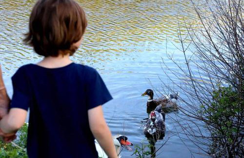 Korthaki Beach House Οικογενειακή Villa στη θάλασσα - Photo 56