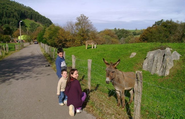 Los Acebos de Peña Cabarga - Foto 20