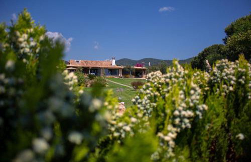 Medusa Gorgon - Photo 8