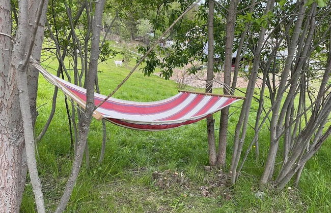 Visit Dome - Foto 12