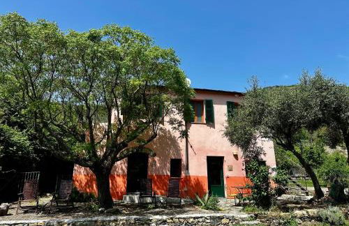 Country House With Big Garden - Photo 62