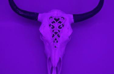 Classy, Cozy, Close to downtown - Foto 27