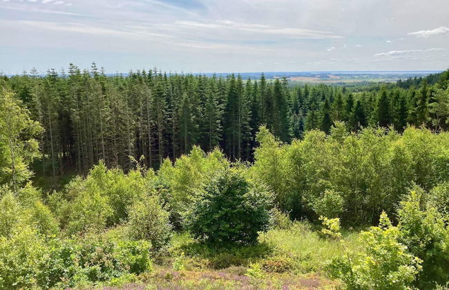 Seaside Serenity in Taysinge-by Traum - Foto 21