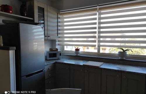 Cactus house - Foto 75