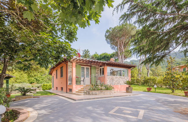 Verde Versilia - Foto 37