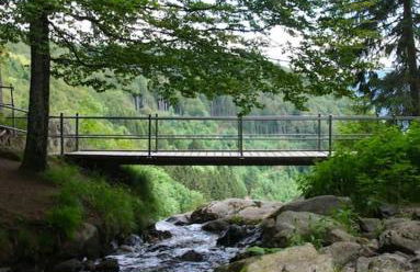 Ferienwohnung Hirschkopf - Foto 20
