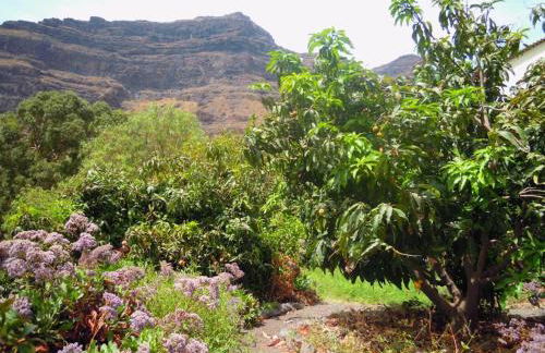 Casita Feliz - Casa Rural Tasarte by Villas Rivero - Foto 41