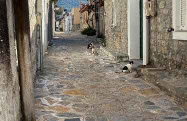 Marika's Home - Foto 20