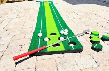 Lion of the Beach - Photo 12