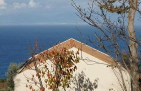JATU Retreat - Photo 8