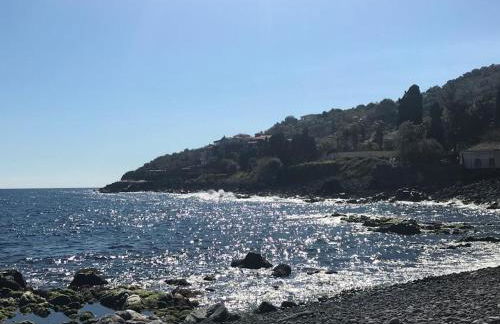 Tuttifrutti holiday - Foto 37