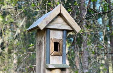 Mt Rainier Little Green Cabin On Big Creek! - Foto 28