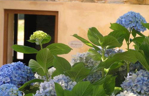 Apartamentos El Guindal - Foto 45