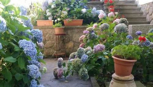 La Villetta In Montagna - Foto 5, Garden view