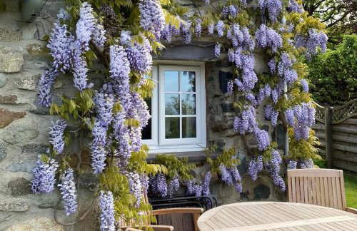 2 Bed in Caernarfon oc-56989 - Foto 49