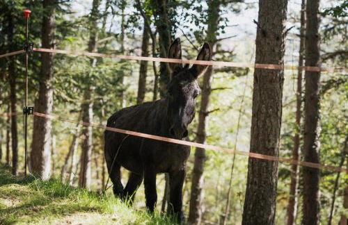 Agriturismo Casa Del Nonno - Foto 48