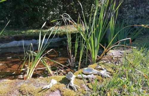 les hortensias La Souris Des Champs - Foto 25