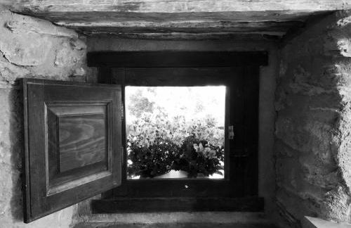 La Grulla Gris - Foto 16