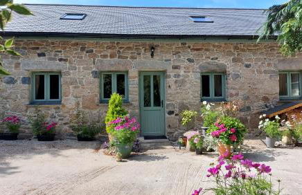 Wesley House Holidays - Choice of 2 Quirky Cottages in 4 private acres - Foto 74