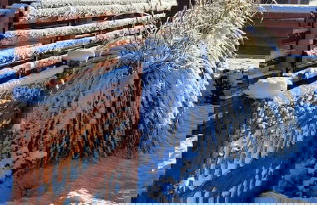 Cabañas Clarita - Foto 34