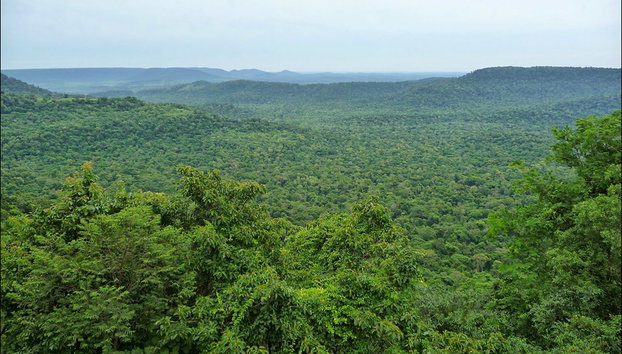 Tour privado a la aldea aborigen de Iriapú - Foto 4