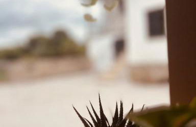 Quinta JR - Casa de campo - Foto 10