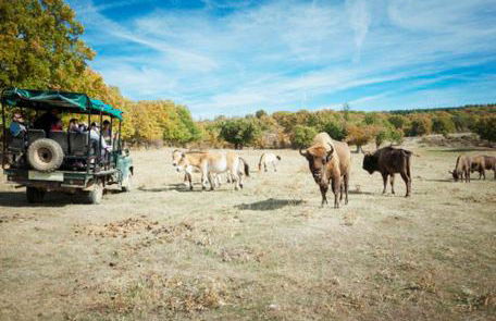 Paleolítico rural - Photo 67