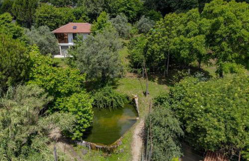 Casa da Eira "Lavoura da Bouça - Fruta Bio" - Foto 40